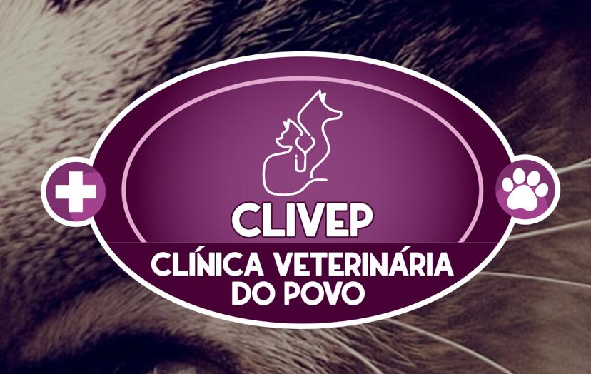 Filipe Luigui Soares da Costa - Médico Veterinário Responsável técnico